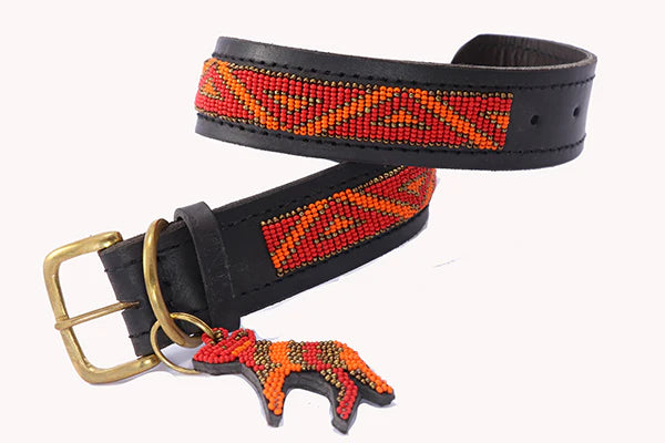Hundhalsband Kabaka Neon