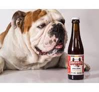 Hundöl Flaska Mixed 25cl