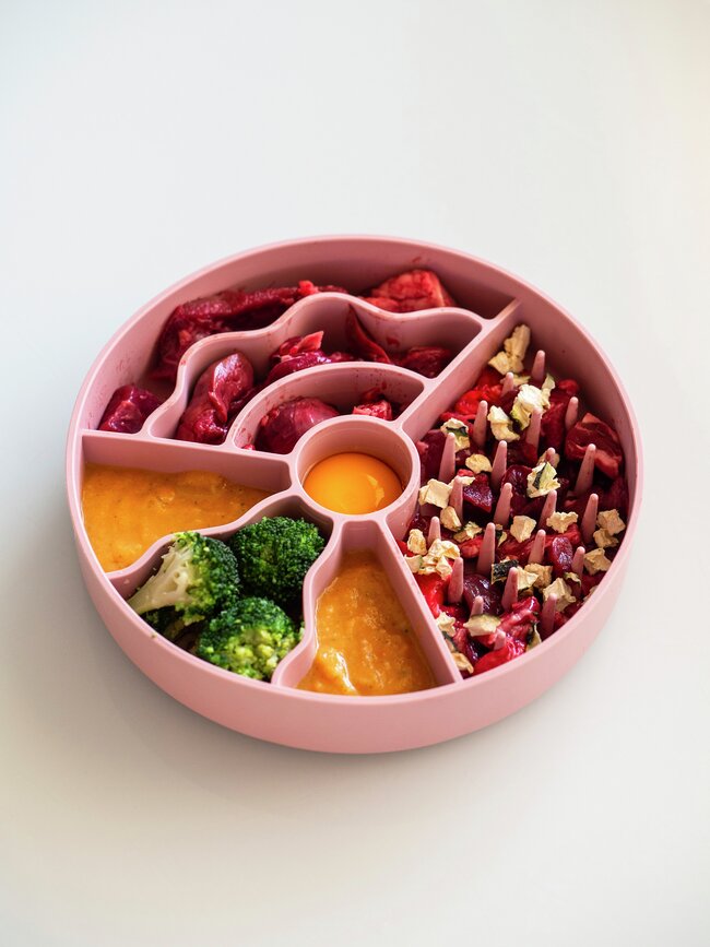 Slow fiboowl Slowfeeder-skÄl, 19cm- Rosa