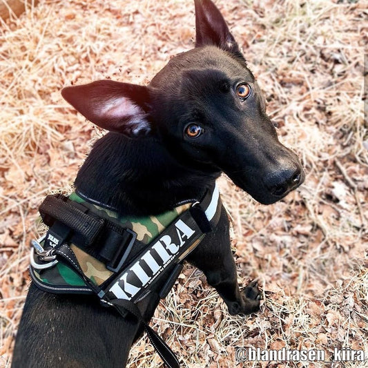 K9 IDC-sele Camouflage "30% rabatt dras av i kassan"