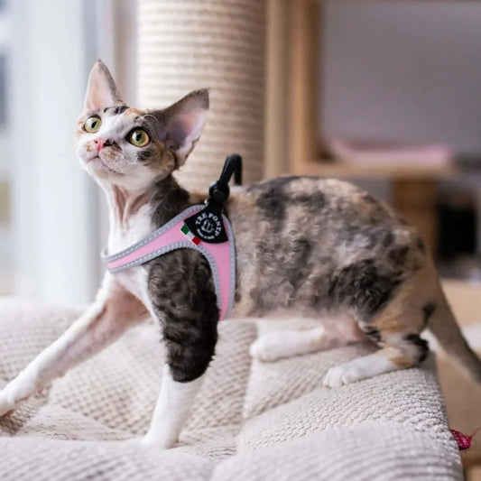 Tre Ponti-sele Snöre Basic Rosa för hund och katt