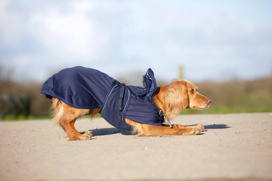 Back on Track Hundnättäcke Blå