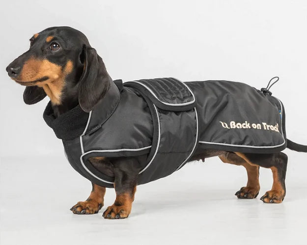 Back on track Hundtäcke Tax "30% rabatt dras av i kassan"