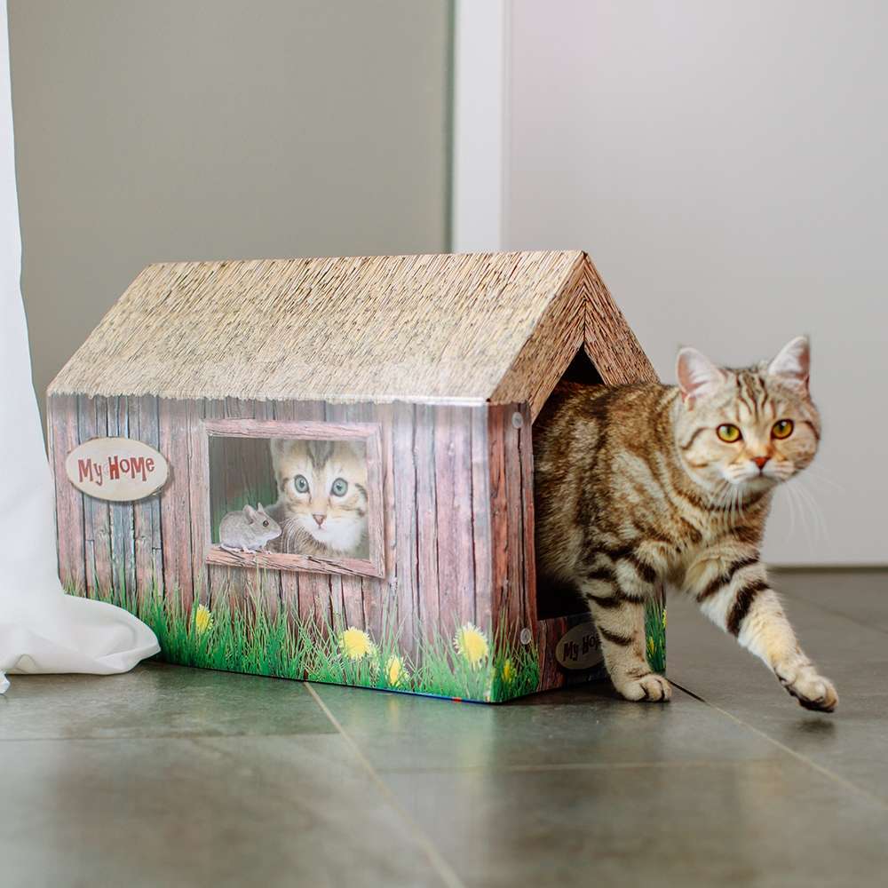 Klöshus i papp 49x36x26cm