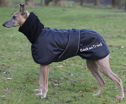 Back on Track Hundtäcke Whippet "30% rabatt dras av i kassan"