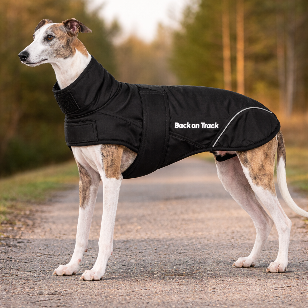 Back on Track Hundtäcke Greyhound "30% rabatt dras av i kassan"