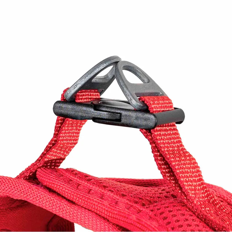 Hundsele Air-mesh Rosa