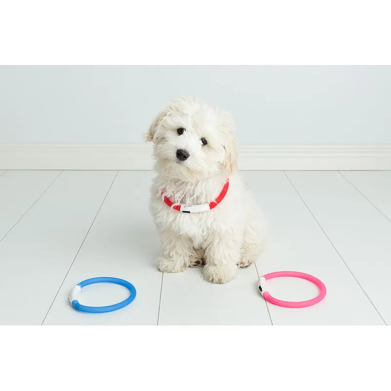 Blinkande Halsband 70cm Blå