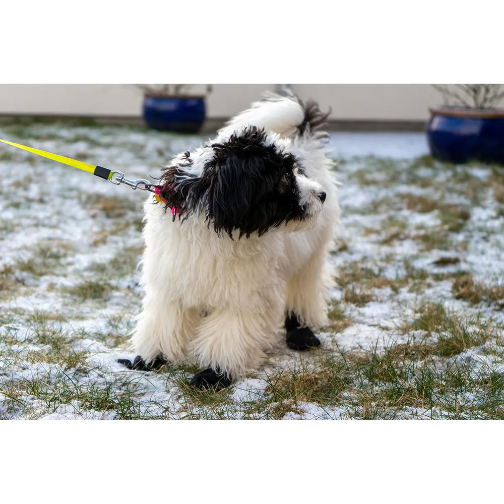 Långdistanssocka för hund 4st SVART