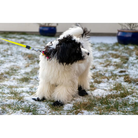Långdistanssocka för hund 4st SVART