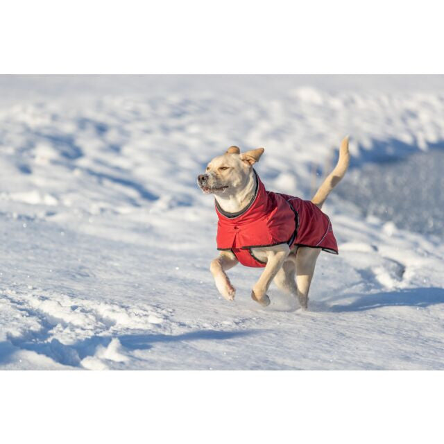 Vintertäcke Explore Thermo, röd"30% rabatt dras av i kassan"