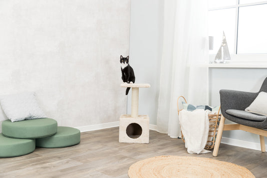 Junior Zamora klöspelare, 60cm beige