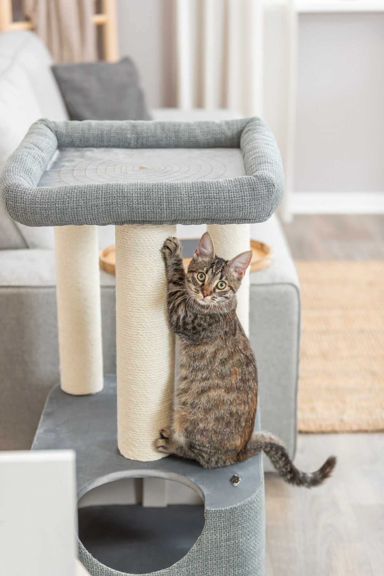 Klöspelare Viviana, 86cm, blå/grå