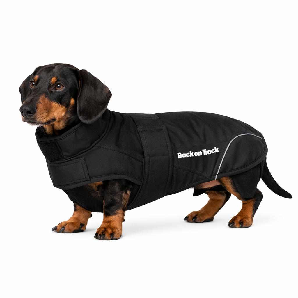 Back on track Hundtäcke Tax "30% rabatt dras av i kassan"