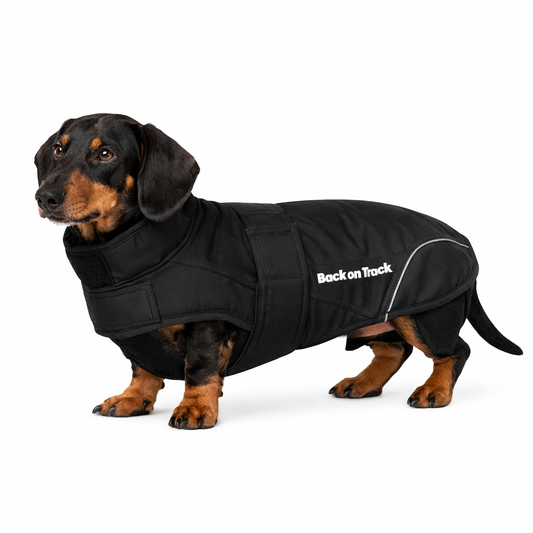 Back on track Hundtäcke Tax "30% rabatt dras av i kassan"