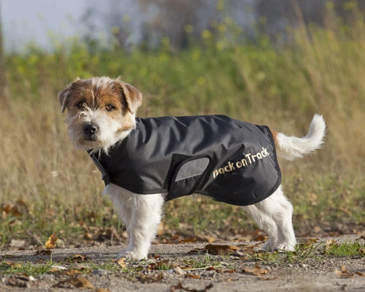 Back on Track Hundtäcke Hugo "30% rabatt dras av i kassan"