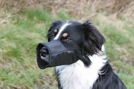 Munkorg nylon L-XL 32cm