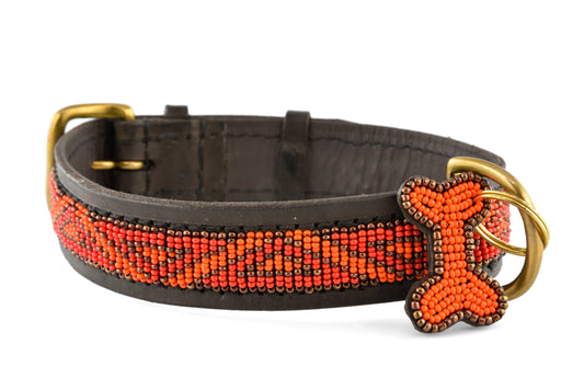 Hundhalsband  Kabaka Neon