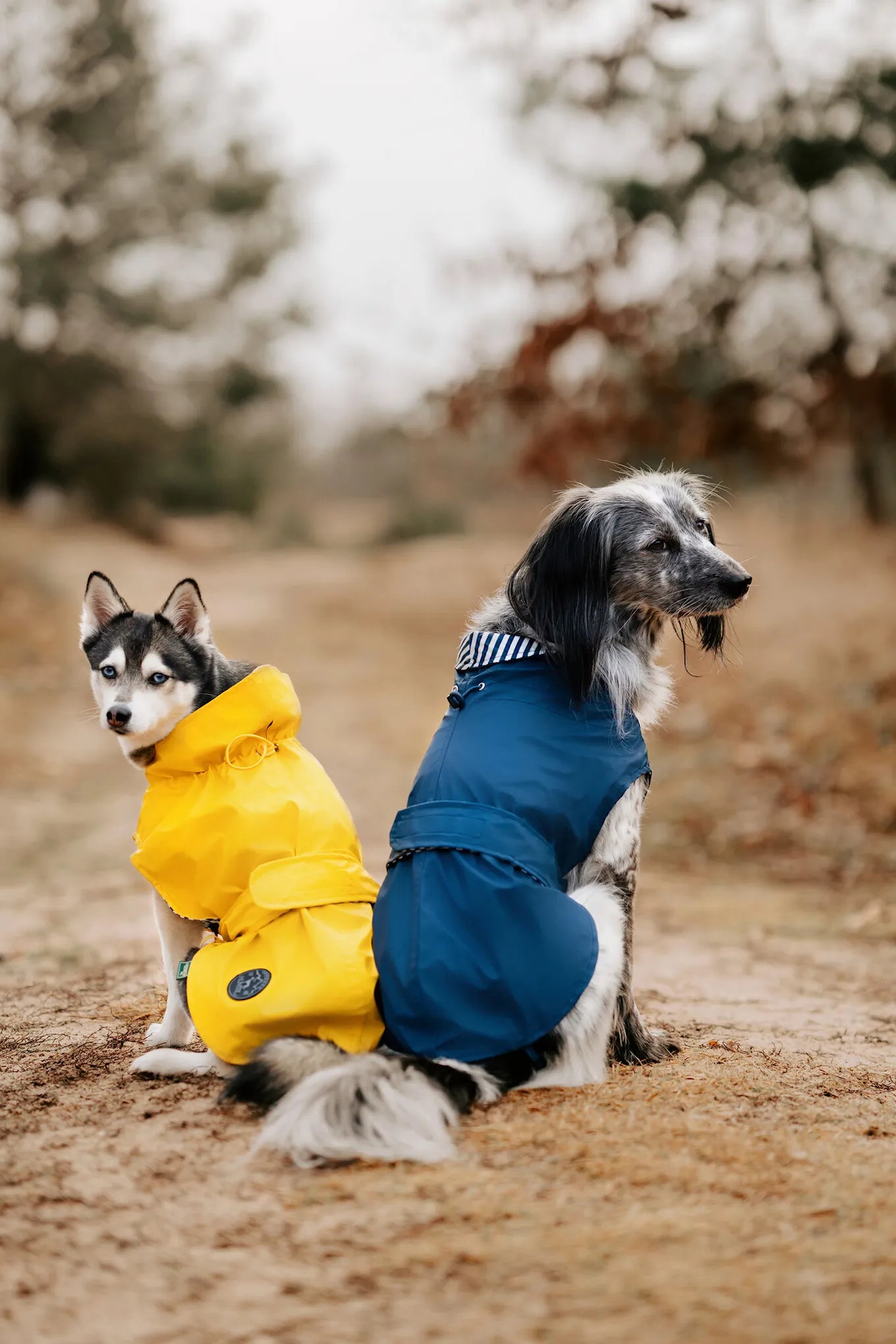 Hunter Dog Coat Milford Blå