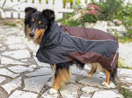 Hundtäcke Ultimate Warmer "40% rabatt dras av i kassan"