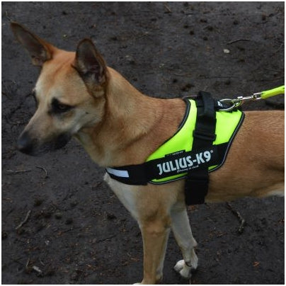 K9 IDC-sele Neongul"30% rabatt dras av i kassan"